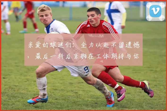 亲爱的球迷们：全力以赴不留遗憾，最后一科后京狮在工体期待与你相聚