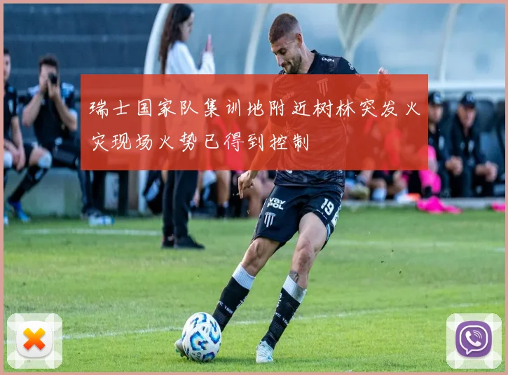 瑞士国家队集训地附近树林突发火灾现场火势已得到控制