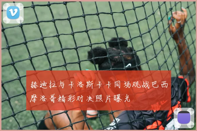 赫迪拉与卡洛斯卡卡同场观战巴西摩洛哥精彩对决照片曝光